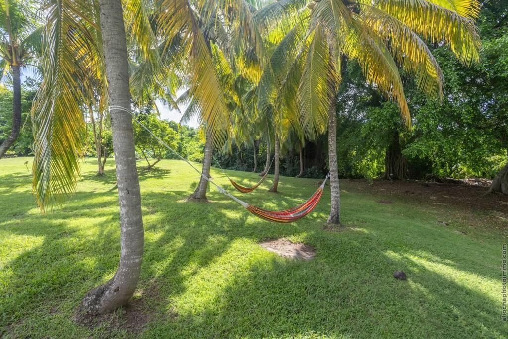Suite Tropicale Village Vacances サント・リュス エクステリア 写真